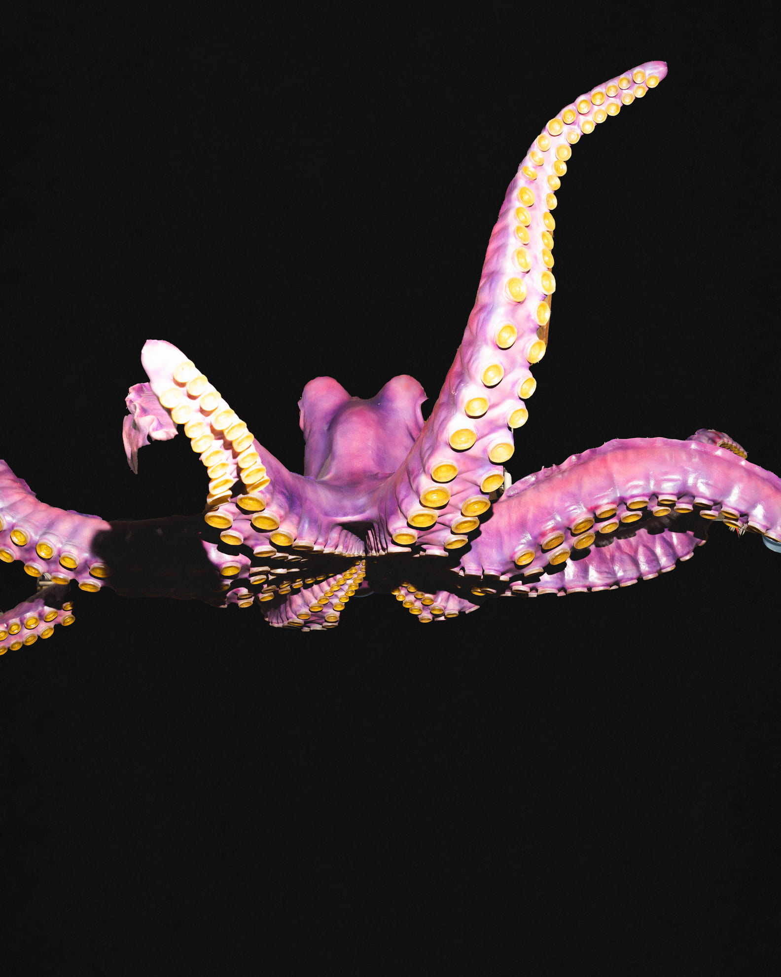 Cokin- Marco-Martin-MMstudio