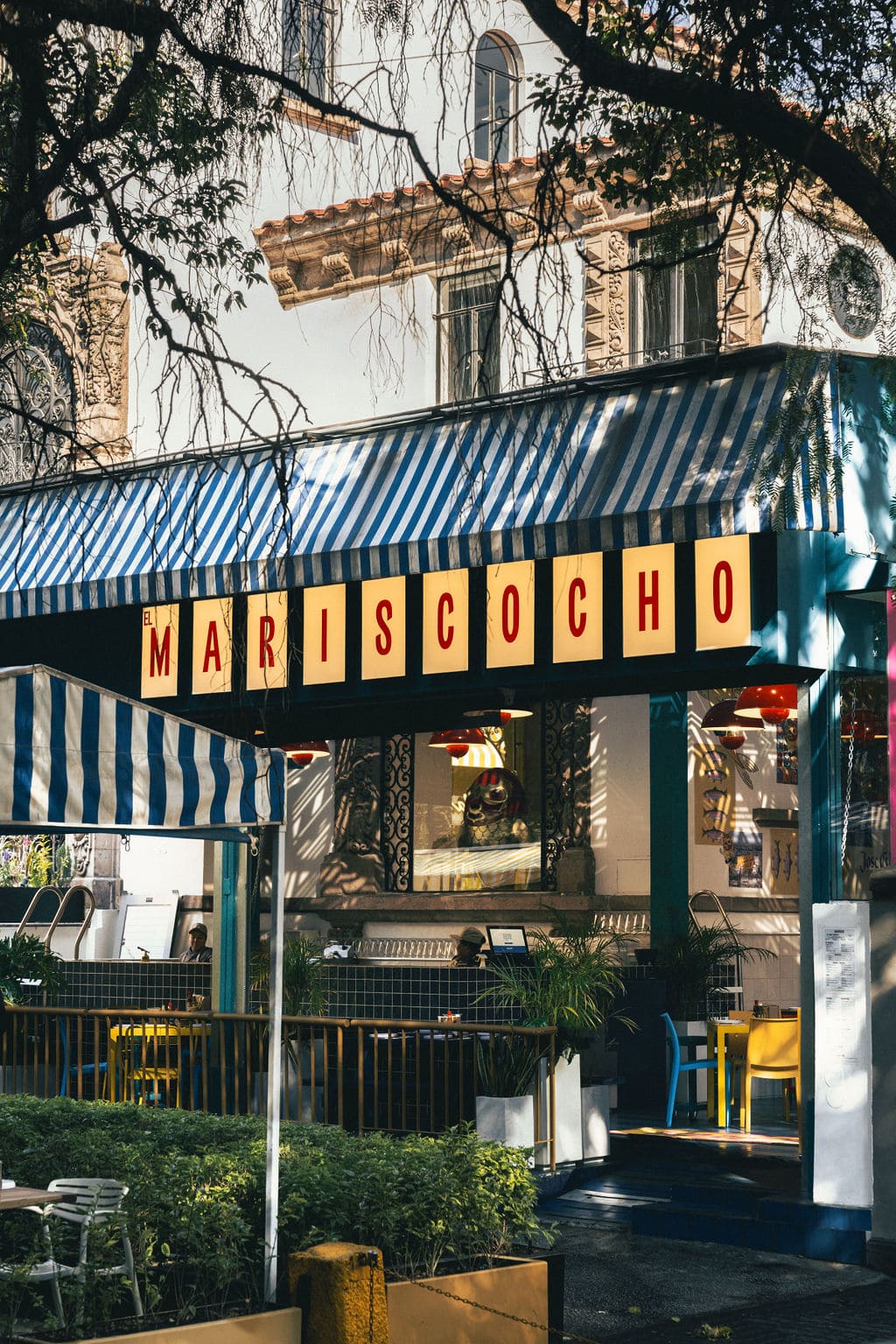 MARISCOCHO - mmestudio