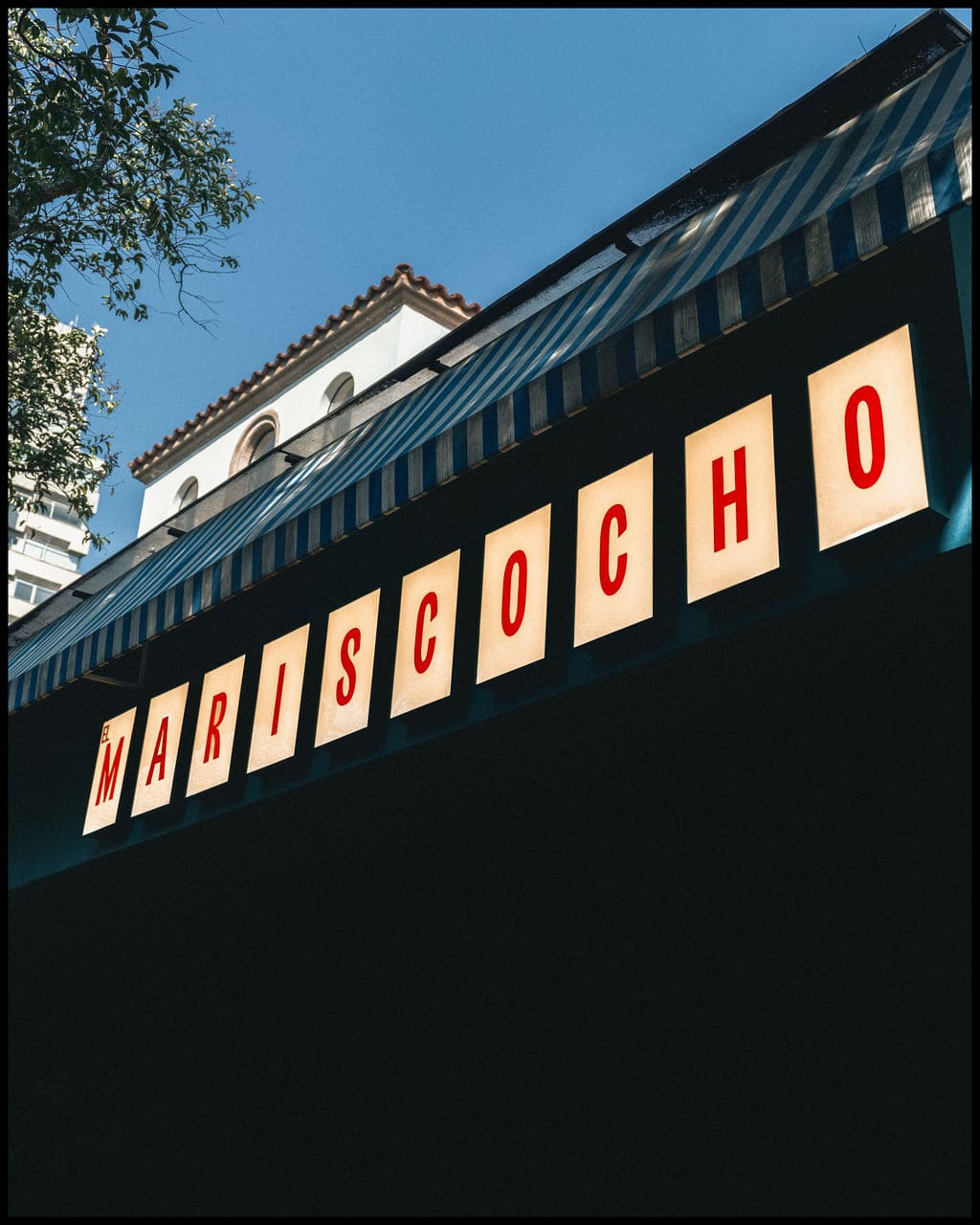 MARISCOCHO - mmestudio