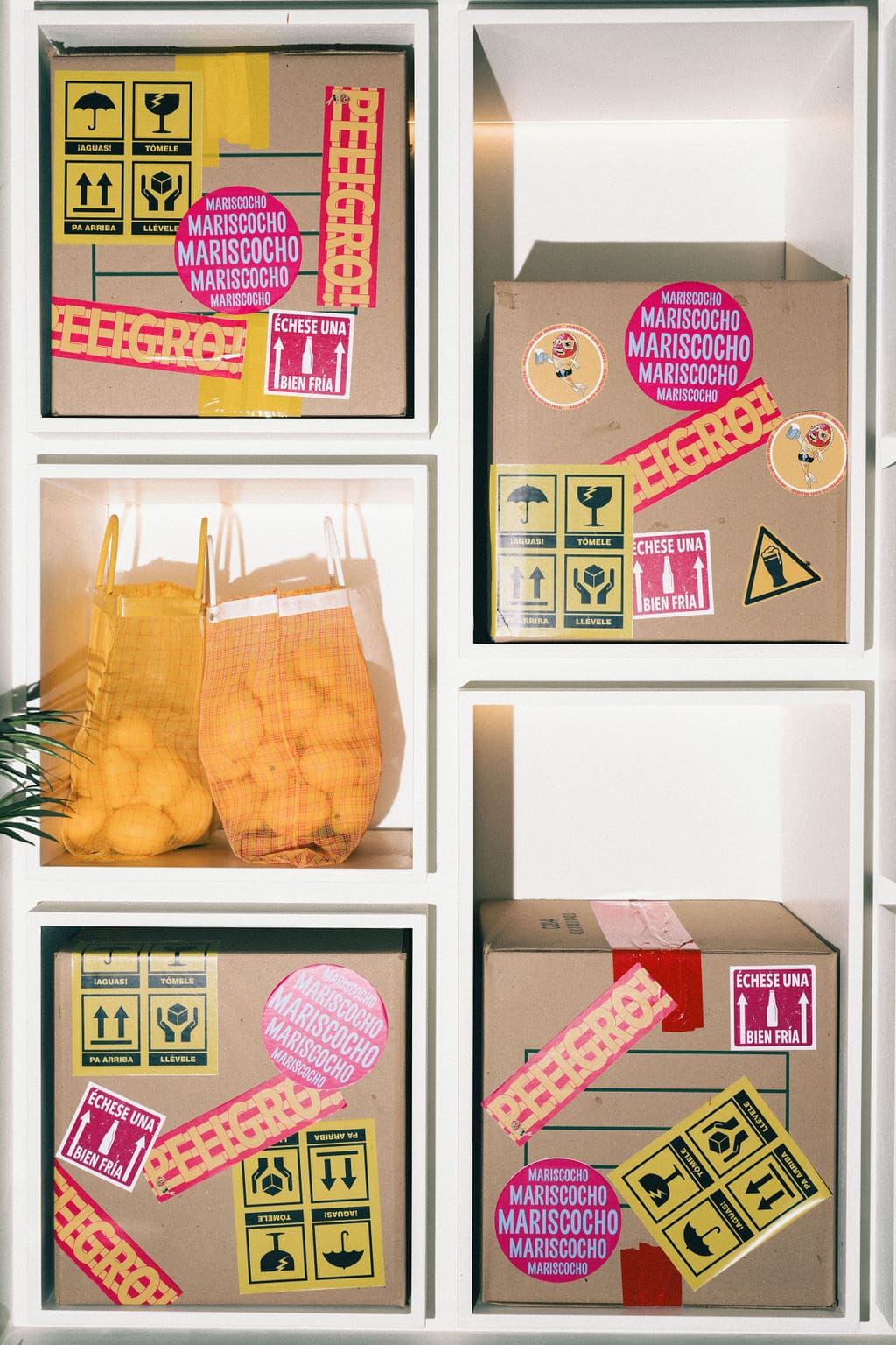 MARISCOCHO - mmestudio